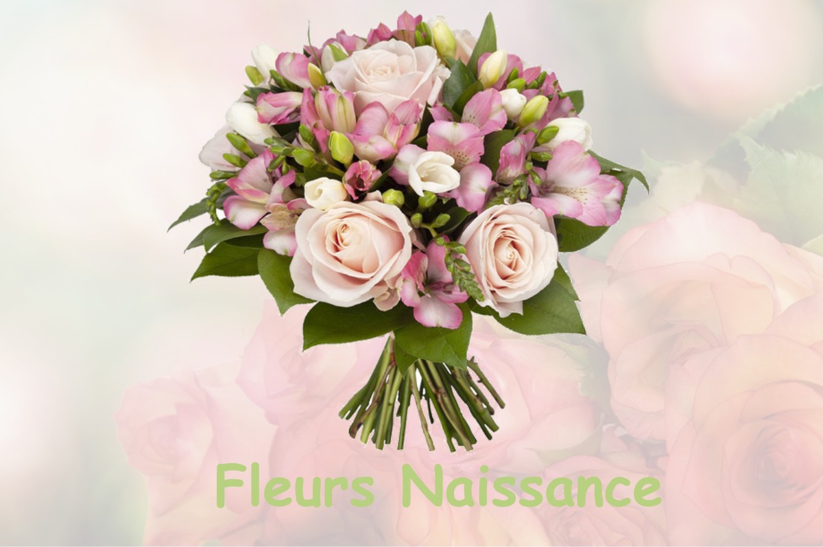 fleurs naissance SEIGNEULLES