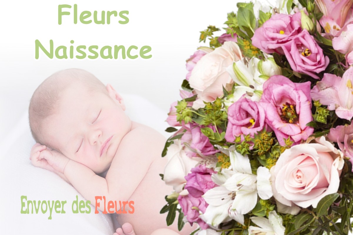 lIVRAISON FLEURS NAISSANCE à SEIGNEULLES